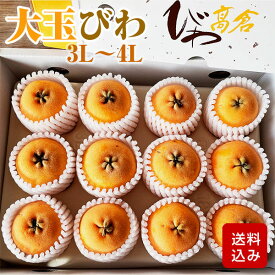 びわ 大玉 1kg 3L-4L 化粧箱入 高倉びわ なつたより 福岡県産 ギフト