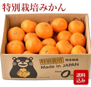 ʍ͔|݂ TCYsI _͔| F{Y Ε Mtg