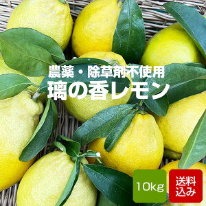 Y  _sgpi͔|Ԓj ̍ ܕsgp m[bNX ̂  EG Y