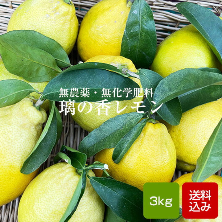 楽天市場 国産 無農薬 レモン 璃の香 3kg 訳あり 無化学肥料 ノーワックス りのかレモン れもん 檸檬 福岡県産 朝ごはん本舗
