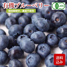 有機JAS認証 オーガニックブルーベリー 冷凍1kg入 栽培期間中農薬不使用 除草剤不使用 長崎産 冷凍