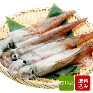 イカ 刺身 冷凍の人気商品 通販 価格比較 価格 Com