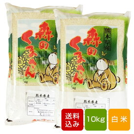 森のくまさん 無洗米 10kg 米 コメ 一等米 熊本県産 令和5年産