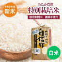 【新米】特別栽培米 白米 農薬不使用（栽培期間中） 種子消毒不使用 福岡県産 令和8年産 ご予約品