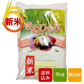 熊本キヌヒカリ 無洗米 5kg 熊本県産 令和5年産