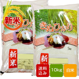 熊本キヌヒカリ 10kg 白米 熊本県産 令和5年産