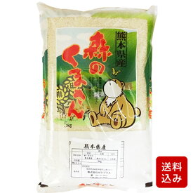 森のくまさん 白米または無洗米から選べる一等米 米 コメ 熊本のお米 コメ こめ 熊本県産 令和5年産