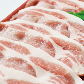 長崎県産 豚モモ 生姜焼き用200g 豚肉 国産 国内産 チルド クール便