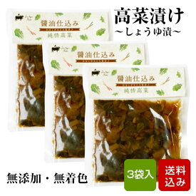 高菜 しょうゆ漬け 100g×3袋 無添加 無着色 国産 漬け物 高菜の漬物 宮崎県産 メール便