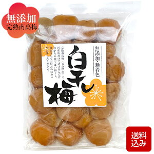 ���~���� 500g ������ �����������F �����ς��~���� �썂�~ �啪���Y ���[����