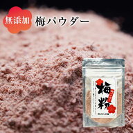 梅パウダー 着色料不使用 食塩不使用（※追加食塩なし） 国産梅100％ 梅肉パウダー メール便