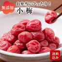 小梅 お弁当用の梅干し 保存料不使用 無着色 すっぱい梅干し しそ梅干し 九州産 メール便