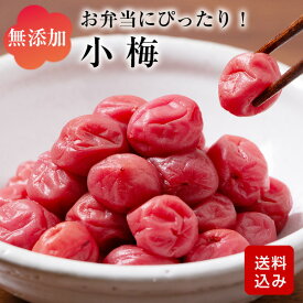 小梅 お弁当用の梅干し 保存料不使用 無着色 すっぱい梅干し しそ梅干し 九州産 メール便