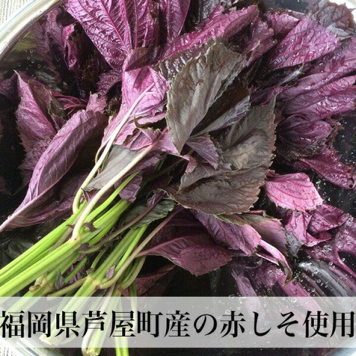 楽天市場】梅干し 無添加 500g お試し 梅干し しそ梅 無添加 無着色 完熟南高梅 すっぱい梅干し メール便 md : 朝ごはん本舗 楽天市場】梅干し 無添加 500g お試し 梅干し しそ梅 無添加 無着色 完熟南高梅 すっぱい梅干し メール便 md : 朝ごはん本舗