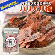ガツンとすっぱい！昔ながらの無添加梅干し パリパリ梅 個包装 持ち運び 熱中症対策 塩分補給 メール便