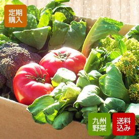 【定期購入】野菜セット 10-12品 九州野菜 西日本 九州 送料無料