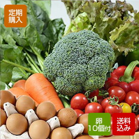 【定期購入】九州野菜と卵セット 九州野菜10-12品 卵10個入り 野菜つめあわせ 西日本 九州 送料無料