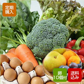 【定期購入】【送料無料】九州野菜と卵、旬の果物セット