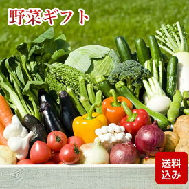 菜ギフト 8-9品 野菜つめ合わせ お中元 ギフト 誕生日祝い クール便