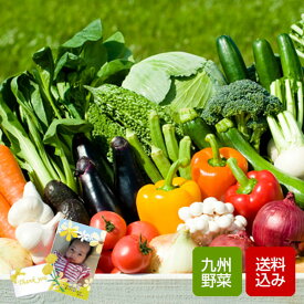 野菜ギフト 10品 九州野菜 野菜詰め合わせ 母の日 ギフト 花以外 誕生日祝い のし無料