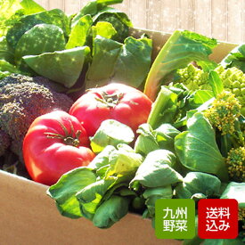 野菜セット 10-12品 野菜詰め合わせ 九州産 母の日 ギフト 花以外 のし無料 クール便