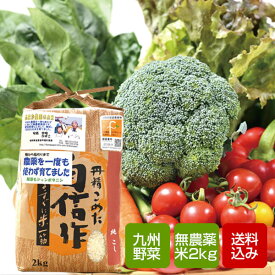 野菜と特別栽培米2kgセット 野菜詰め合わせ 父の日 お中元 ギフト 誕生日祝い のし無料