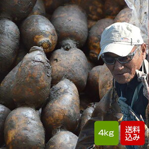 񂱂 _sgp R_@ w엿 ܕsgp R @ ꌧΎY