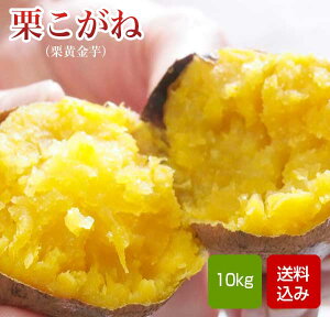 栗こがね 栗黄金芋 サイズ混合 さつまいも 生芋 サツマイモ 鹿児島県産