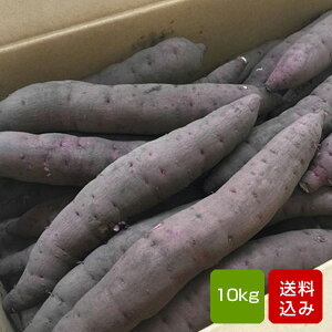 さつまいも 蜜芋の通販 価格比較 価格 Com さつまいも 蜜芋の通販 価格比較 価格 Com