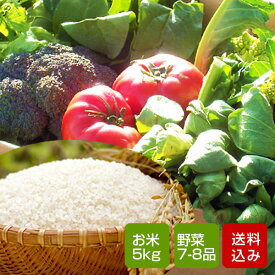 野菜とお米のセット 野菜詰め合わせ 父の日 お中元 ギフト 誕生日祝い のし無料 クール便