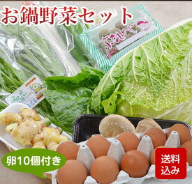 お鍋野菜セット 九州野菜 卵10個付 お取り寄せ 野菜詰め合わせ