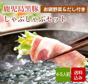 ԂԓZbg  Ε NNn N[ Mtg