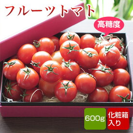 フルーツトマト 高騰度 600g 化粧箱入 九州産 クール便 母の日 ギフト 花以外