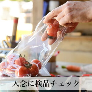 九州野菜と朝どり卵セット野菜つめあわせ九州西日本野菜セット