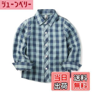 yz[Phorecys] {^Vc LbY  `FbNVc {[CY CVc j̎q Rbg 傫TCY q tH[} w  FF714#BVAATCYF110