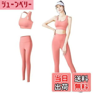 �y���������z[THREEGUN] ���K�E�F�A �㉺�Z�b�g �X�|�u�� �h��Ȃ� ���K�p���c ���K�u�� �X�|�[�c�u�� �X�|�[�c�E�F�A �^�C�c �g���[�j���O ���f�B�[�X �F�FSET-KN01�s���N�A�T�C�Y�FL