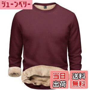 yz[TACVASEN] g[i[ Y N K XEFbgVc Lk ۉ gbvX ێ  Rbg n JWAEGA ^gbvX 傫TCY H~ FFCbh