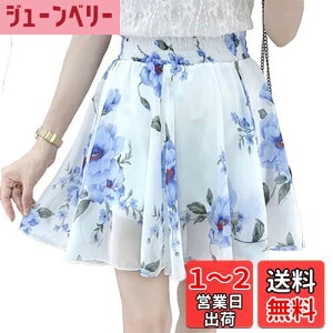 yz[syvent] 18F XJ[g C炵 EGXgS ~jXJ[g ԕXJ[g  t[ r ~jXJ r ăXJ[g IV t  fB[X 12F007 FFzC