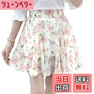 yz[syvent] 18F XJ[g C炵 EGXgS ~jXJ[g ԕXJ[g  t[ r ~jXJ r ăXJ[g IV t  fB[X 12F007 FFzC