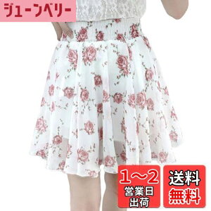 yz[syvent] 18F XJ[g C炵 EGXgS ~jXJ[g ԕXJ[g  t[ r ~jXJ r ăXJ[g IV t  fB[X 12F007 FFzC