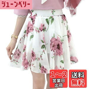 yz[syvent] 18F XJ[g C炵 EGXgS ~jXJ[g ԕXJ[g  t[ r ~jXJ r ăXJ[g IV t  fB[X 12F007 FFzC