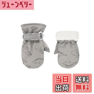 yz[Tidyworm] q    q XL[  h V XL[O[u LbY Xm[O[u ~ Ԃ xr[  ~g j̎q ̎q ΍ ʉ ʊw AEg