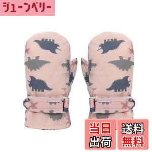 yz[Tidyworm] q  h V q XL[   ~ h xr[  ~g XL[O[u LbY Xm[O[u j̎q ̎q ΍ ʉ ʊw AEghA 6-8 