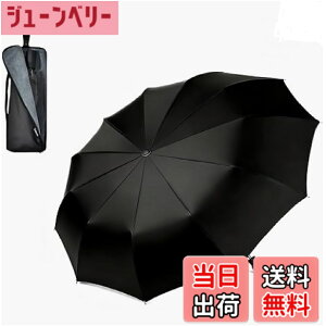 �y���������zTAIKUU �܂肽���ݎP �����Y 12�{�� �y290g�̒��y�ʚƗہz 102cm �傫�� ��v ��� �蓮�J�� �܂��ݎP �y�� �ϕ� ���ɋ��� 12�p���_ 210T������ �P�P�[�X�t�� �G��Ȃ����[ PRO-12 AIR�@(
