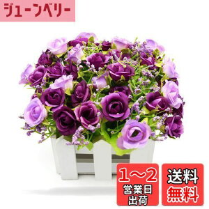 yzBEADY ~j_C[o lHϗtA  G} tFCNO[ CeA Mtg j (ԍ(zCg), p[v)