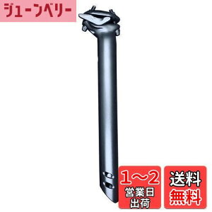 yzG@fBI(Avedio) V[gs[ BACCHUS SEATPOST 31.6