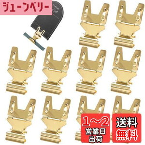 yzVitalBloom J[hNbv vCXJ[h J[h10 lD fBXvC |bvNbv px\ ~ߕt  lD Ɩp Xܗpi (S[h)