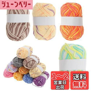 【送料無料】CAPASTEC 毛糸 60%コッ トン40%アクリル 50g±2g (約160m) 柔らかい 2本セット 編み物セット 段染風 クリス マスプレゼント 手編み 初心者向け グラデーションイエロー緑