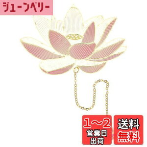 yzCAPASTEC  ubN}[N x   FB ǎ {D Ǐp ItBXp v[g @