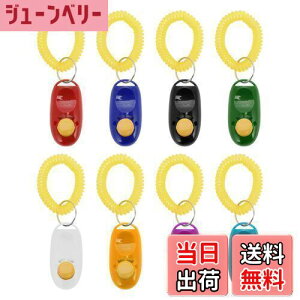 yzCAPASTEC NbJ[g[jO p É݌v ABS+XeXX`[+EVAXgoh ̂ y ϋv rߖh~ g[jOc[  L n IE  ybgpi _[